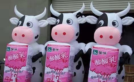 安庆牛奶厂广告气模